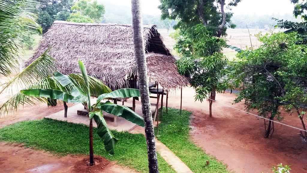 Lakmini Lodge Sigiriya Exterior photo